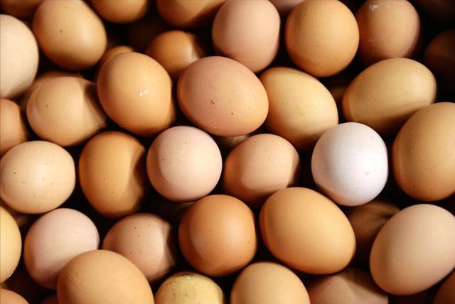 柴鸡蛋价格是多少钱一斤？柴鸡蛋和普通鸡蛋的区别？