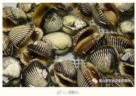 四五月吃海虹易中毒！河北唐山发布食用贝类安全警示