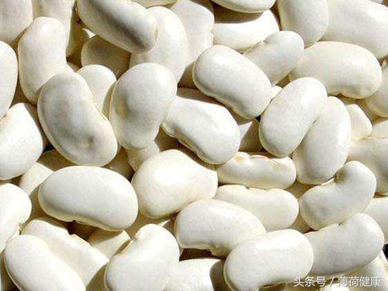 扒皮｜能“阻断淀粉吸收”的白芸豆到底有多神奇？