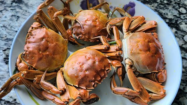 螃蟹的家常做法，鲜香美味又营养，一口咬下去，满嘴的蟹黄