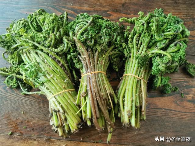 东北农村，常吃的16种山野菜，现在城市里很少见，你吃过几种？