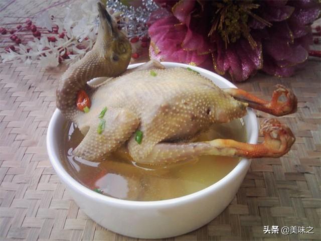 大补鸽子汤的19种做法，营养丰富，味道鲜美