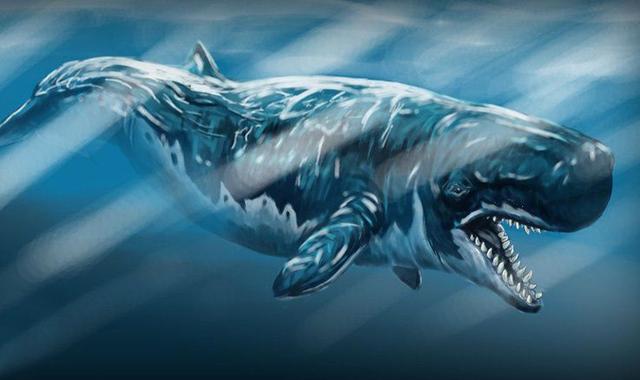 鲨鱼进化之悲歌：被其他霸主欺负亿万年的感觉，你们人类不会懂的