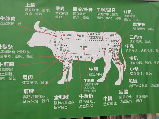 吃了这么多牛腩，你知道吃的哪一类吗？
