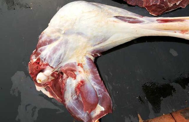 2017鸵鸟肉多少钱一斤 鸵鸟肉的营养价值