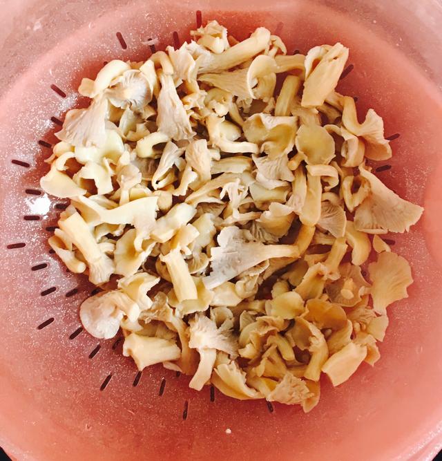 如何用榆黄菇做汤羹好喝？做了半锅还没喝够，太鲜美了