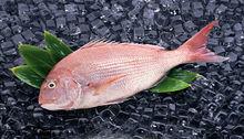 超市卖的冰冻鲷鱼片究竟是什么鱼?是淡水鱼还是海鱼?