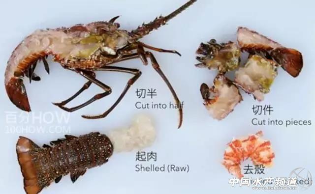 大龙虾买回家怎么处理怎么烹饪？