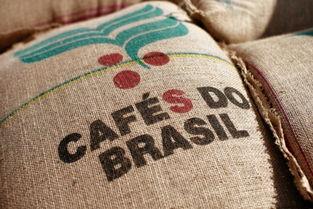 适合大众口味的咖啡——巴西咖啡