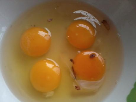 双黄蛋是怎么产生的？没有蛋黄的鸡蛋你见过吗？