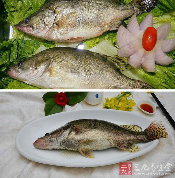 桂鱼的营养价值 桂鱼的几种做法和功效