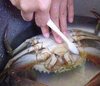 梭子蟹怎么洗
