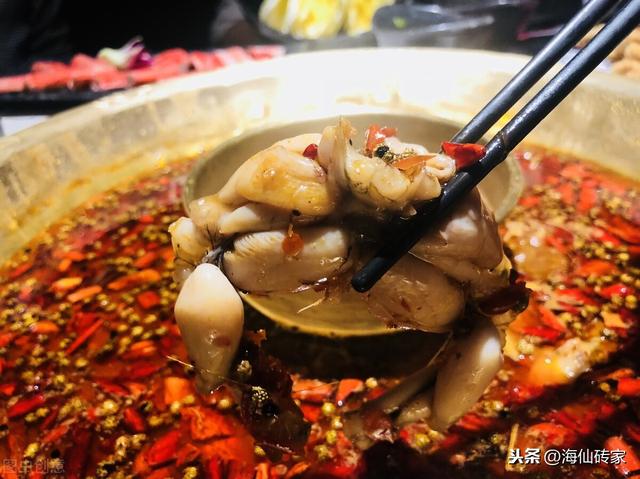 吃海鲜火锅，一定要知道的6种必备蘸料，学会就是行家