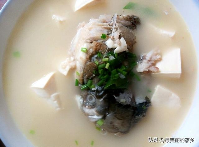 一个草鱼头，一斤豆腐，教你做出鲜味十足的鱼头豆腐汤