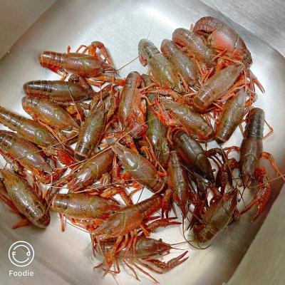 蒜蓉小龙虾最好吃的5种做法，一遍就会