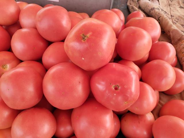 西红柿最好吃的6种做法，营养下饭，酸甜又美味，学会做给家人吃