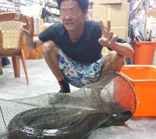 男子捕获一条23公斤巨大鲈鳗，有人出25万他不卖，理由被斥太迂腐